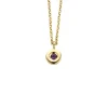 Diamond Point Colliers Met Kleurstenen<Birthstones gouden hanger met collier Februari