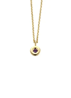 Diamond Point Colliers Met Kleurstenen<Birthstones gouden hanger met collier Februari
