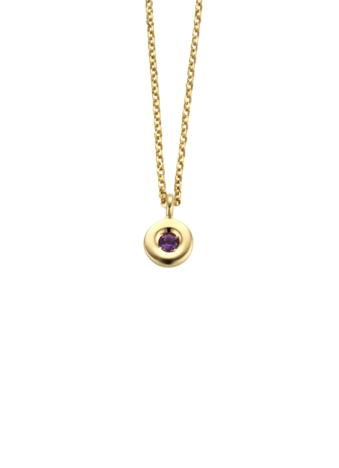 Diamond Point Colliers Met Kleurstenen<Birthstones gouden hanger met collier Februari