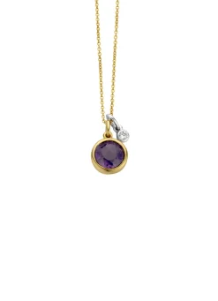Diamond Point Colliers Met Kleurstenen<Birthstones gouden hanger met collier Februari