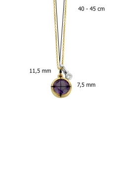 Diamond Point Colliers Met Kleurstenen<Birthstones gouden hanger met collier Februari
