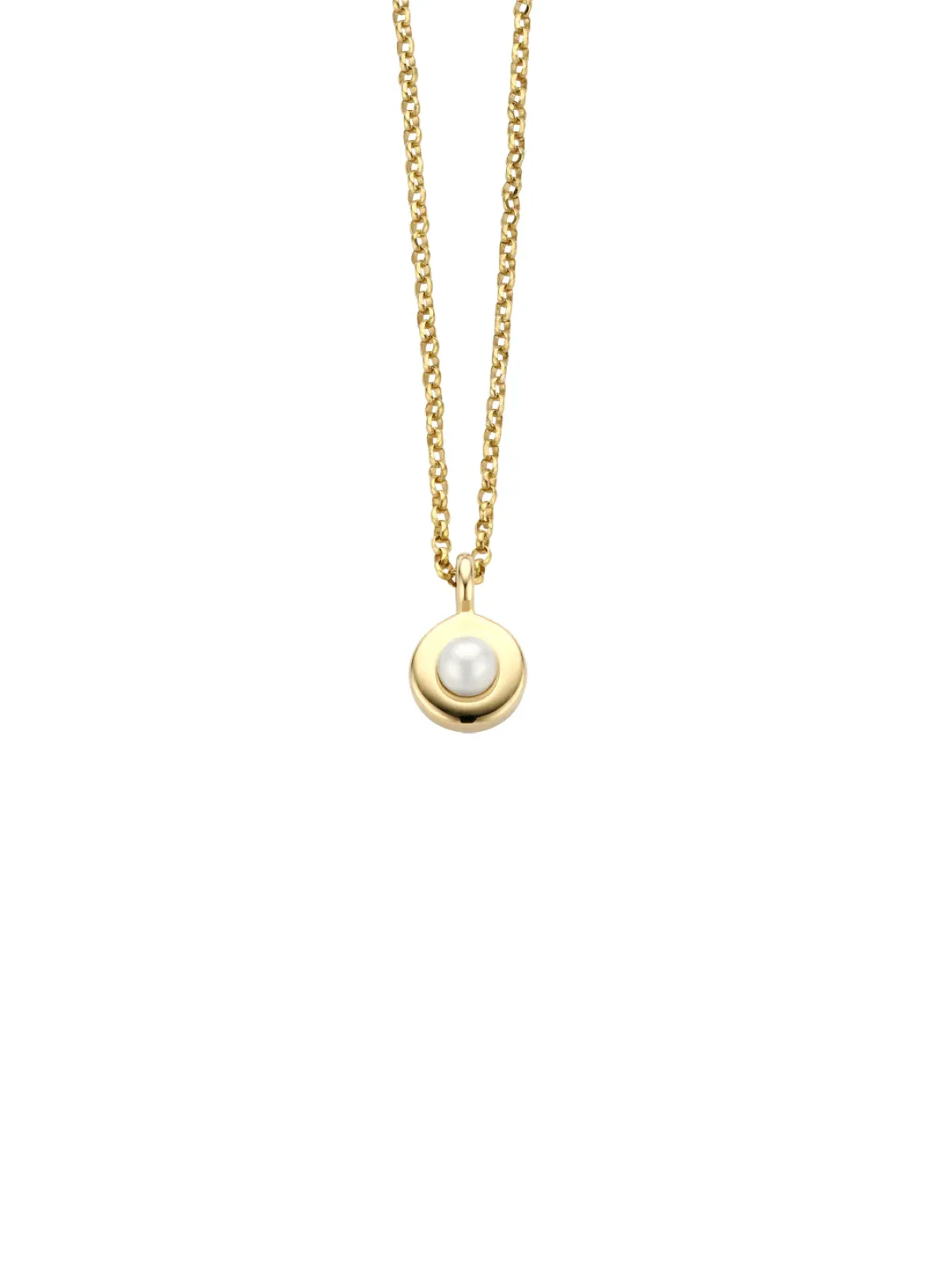 Diamond Point Colliers Met Kleurstenen<Birthstones gouden hanger met collier Juni