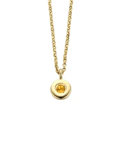 Diamond Point Colliers Met Kleurstenen<Birthstones gouden hanger met collier November