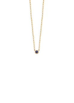 Diamond Point Geelgouden Colliers|Colliers Met Kleurstenen<Geelgouden collier, 0.05 ct blauwe saffier, Joy