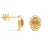 Diamond Point Geelgouden Oorsieraden|Oorsieraden Met Kleurstenen<Geelgouden oorsieraden, 3.12 ct citrien, Little Drops
