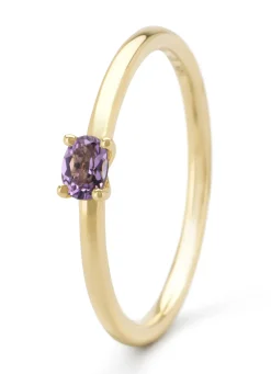 Diamond Point Geelgouden Ringen|Ringen Met Kleurstenen<Geelgouden ring, 0.14 ct paarse amethist, Joy