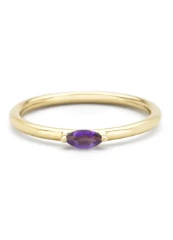 Diamond Point Geelgouden Ringen|Ringen Met Kleurstenen<Geelgouden ring, 0.11 ct paarse amethist, Joy