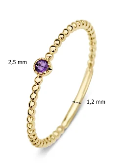 Diamond Point Geelgouden Ringen|Ringen Met Kleurstenen<Geelgouden ring, 0.04 ct paarse amethist, Joy