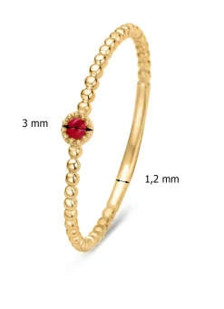 Diamond Point Geelgouden Ringen|Ringen Met Kleurstenen<Geelgouden ring, 0.05 ct robijn, Joy