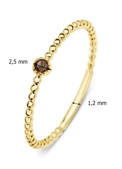 Diamond Point Geelgouden Ringen|Ringen Met Kleurstenen<Geelgouden ring, 0.04 ct rookkwarts, Joy
