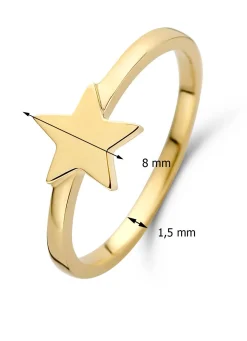Diamond Point Geelgouden Ringen<Geelgouden ring Dreamer