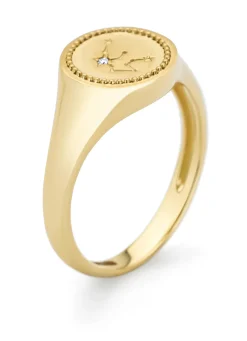 Diamond Point Geelgouden Ringen|Diamanten Ringen<Geelgouden zegelring, Zodiac-Aquarius (Waterman)
