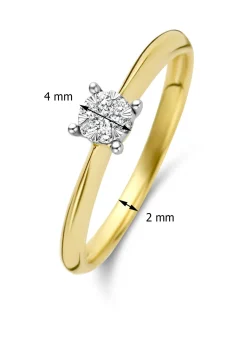 Diamond Point Diamanten Ringen|Verlovingsringen<Gouden ring, 0.10 ct diamant, Enchanted