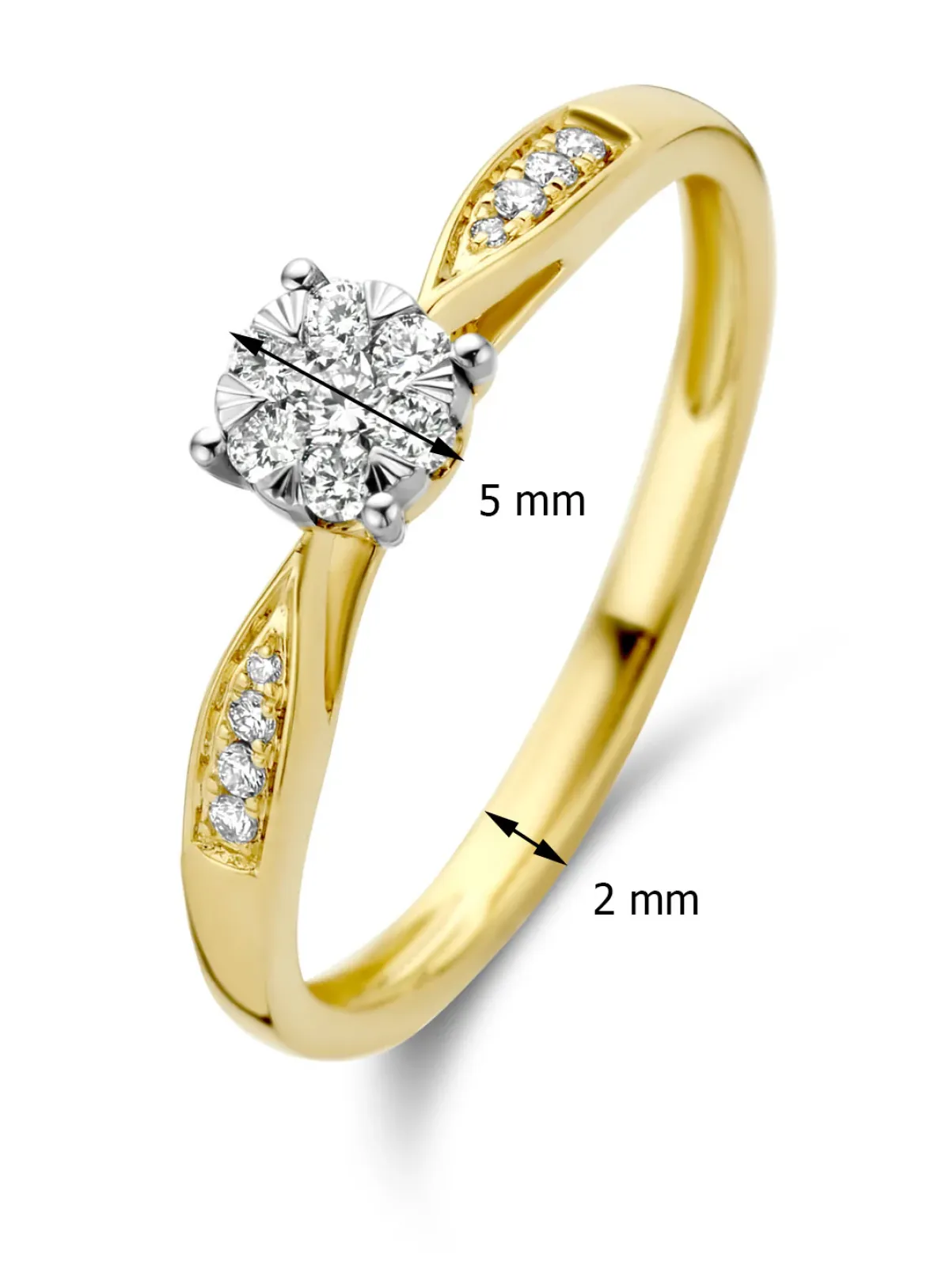 Diamond Point Diamanten Ringen|Verlovingsringen<Gouden ring, 0.20 ct diamant, Enchanted