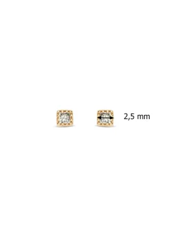 Diamond Point Rosegouden Oorsieraden|Diamanten Oorsieraden<Roségouden oorsieraden, 0.08 ct diamant, Joy